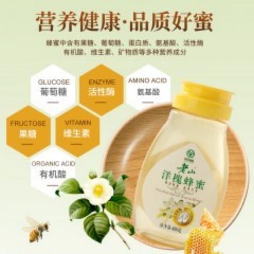 【绿色食品认证】【江苏老字号】老山 绿色洋槐蜂蜜400g（便携小装）  多种营养成分 严选蜜源 品质好蜜 挤压瓶口 办公室必备 商品图1