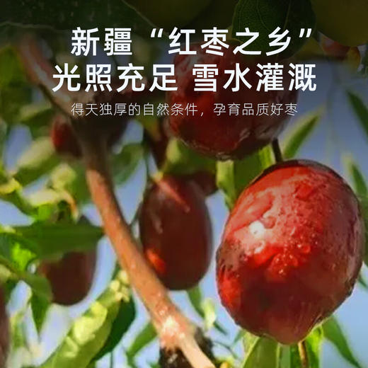 杞里香红枣 新疆灰枣500g （250g*2袋）大红枣新疆特产枣子即食零食果干骏枣送礼长辈 商品图5