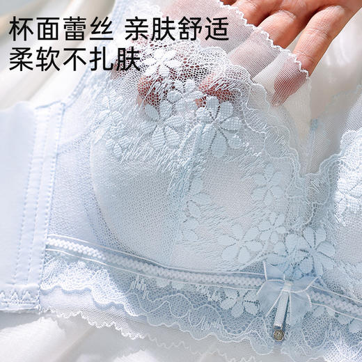 上托聚拢蕾丝文胸（背扣款） 商品图4
