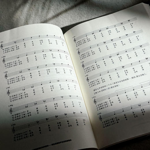 后调性视野下的中国民族调式和声研究 线性思维和声及其风格导向 上海音乐学院钱仁康音乐学术讲坛丛书 商品图10