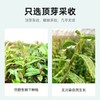 杞里香100g礼盒霍山铁皮石斛 老人礼物送长辈营养品 商品缩略图1