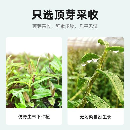 杞里香100g礼盒霍山铁皮石斛 老人礼物送长辈营养品 商品图1