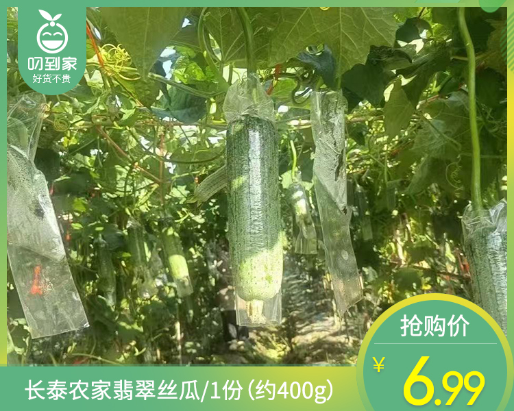 【叼鲜蔬】长泰农家翡翠丝瓜/1份（约400g）