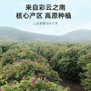 杞里香云南墨红玫瑰花茶不熏硫大朵玫瑰茶不熏硫大朵玫瑰茶花草泡水喝 墨红玫瑰40g 商品缩略图3