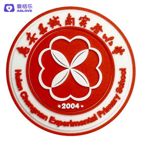 惠安县城南实验小学（夏）运动款