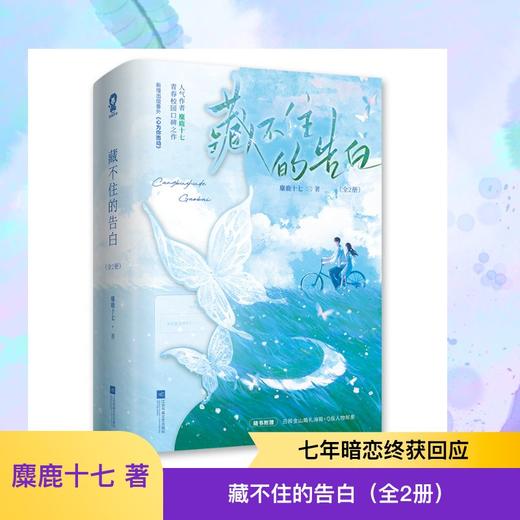 藏不住的告白（全2册） 商品图0