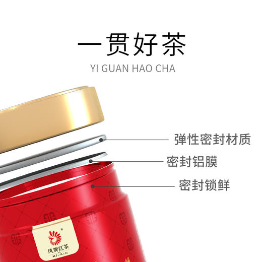 凤牌红茶茶叶云南滇红金芽特级浓香型红茶100g罐装 商品图1