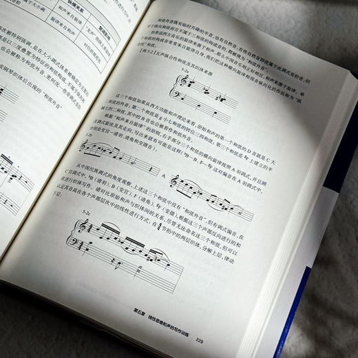 后调性视野下的中国民族调式和声研究 线性思维和声及其风格导向 上海音乐学院钱仁康音乐学术讲坛丛书 商品图12