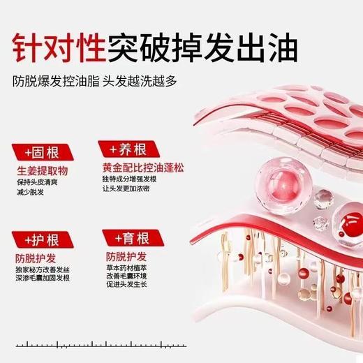 【吉娜推荐 】  克兰慕林柔顺控油洗发乳 生姜侧柏叶膏露去头油去头屑咖啡因精华固发 深层清洁 3天不洗都不油！ 商品图5