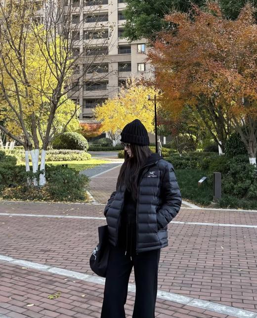 zm37-始祖鸟 Cerium排骨羽绒服(MG) 商品图10