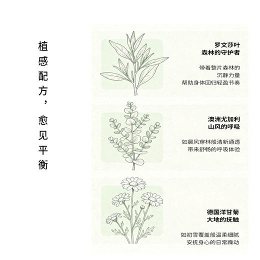 【香邦平衡按摩油】30ML尤加利与洋甘菊 商品图1