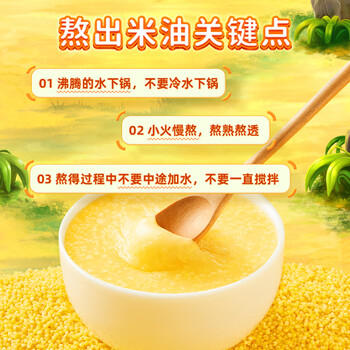 十月稻田 内蒙古黄小米 2斤 养胃早餐煮粥 五谷杂粮 低脂粗粮 米油醇厚 /粮油调味 /杂粮 /谷米类 商品图1