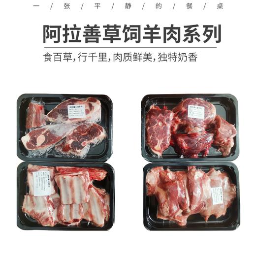 【排单发货 周一，周三，周五陆续发】阿拉善草饲羊肉系列| 产地内蒙古阿拉善，大草原散养，羊腿、羊排、羊腩、羊蝎子等，肉质鲜美   ，老少皆宜⭐️顺丰快递 商品图0