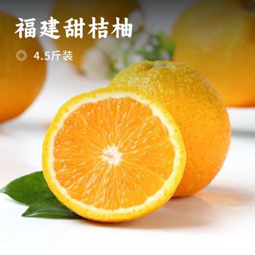 福建甜桔柚 | 似桔似柚甘甜多汁 一口尽享桔之甜柚之香 果肉脆嫩化渣新鲜爽口 商品图0