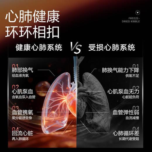心动魔方养护心肺系统充能心肌护心冻干营养品 商品图2