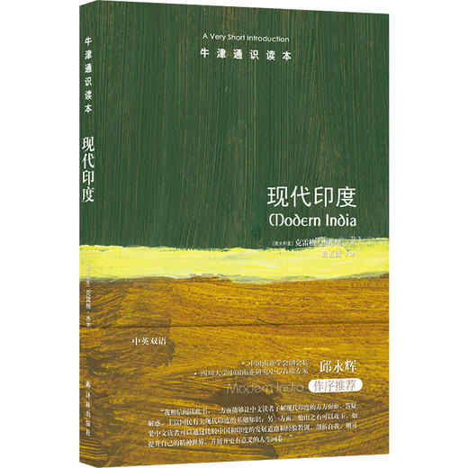 现代印度 商品图0