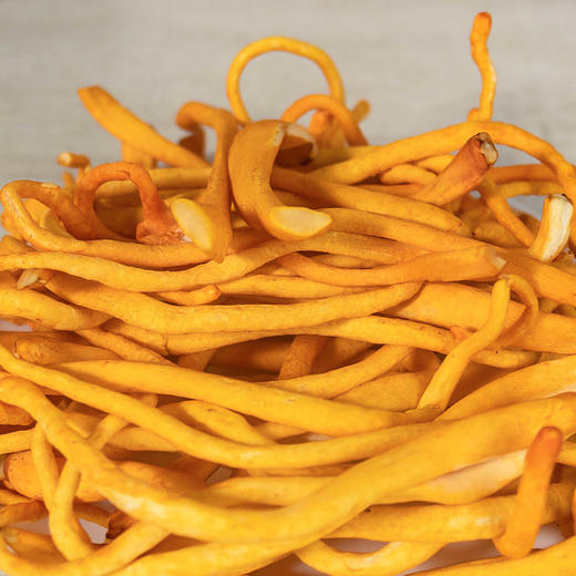 有机虫草花100g蔬菜炒食炖汤火锅新鲜采摘菌菇生鲜满额包邮 商品图4