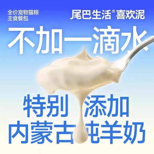 尾巴生活主食餐包 黑白泥 彩虹泥吸吸酱 成猫幼猫发腮湿粮餐包 商品图3