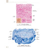 实用组织学与胚胎学图谱 徐国成 翟效月 主编 中英文对照结合彩图准确标注 既体现了学术严谨性又直观易懂 基础医学人民卫生出版社 商品缩略图4