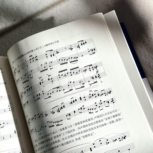 后调性视野下的中国民族调式和声研究 线性思维和声及其风格导向 上海音乐学院钱仁康音乐学术讲坛丛书 商品图13