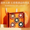 杞里香 250g五福长乐礼盒-B  5罐装(红参40g， 羊肚菌30g，虫草花50g， 黑枸杞50g、红枸杞80g）  商品缩略图2