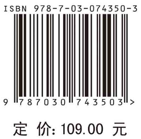 中国电子信息工程科技发展研究.遥感过程控制与智能化专题 商品图2