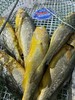 xm超低价！！超低价！！现货鲜发，刚出水的深海中大黄花鱼 · 金黄细鳞，肉质鲜嫩，一口鲜香满溢！清蒸即鲜甜，香煎更酥香！全程顺丰活冻锁鲜冷链送货到家 商品缩略图4