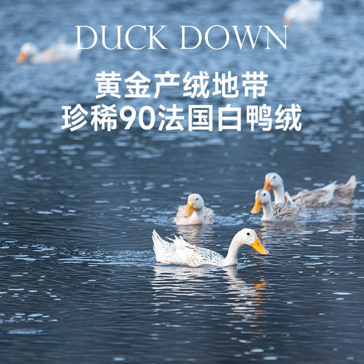 90法国白鸭绒被(海妮娅) 商品图1