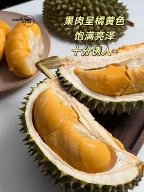 【马来西亚空运鲜果-黑刺榴莲鲜果】来啦！榴莲王中王！浓郁醇香，入口即化！树上熟，自然掉落更香甜~