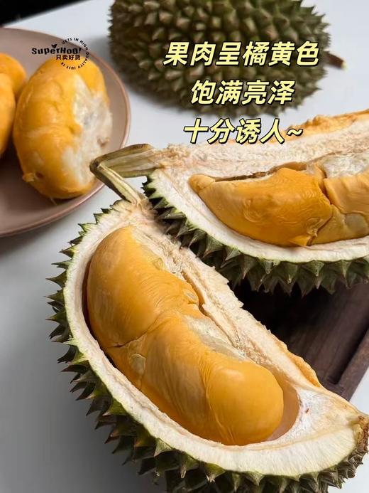 【马来西亚空运鲜果-黑刺榴莲鲜果】来啦！榴莲王中王！浓郁醇香，入口即化！树上熟，自然掉落更香甜~ 商品图0