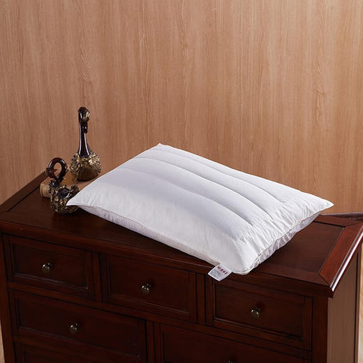 恒源祥 1JJ1212 羽毛荞麦枕 48*74cm 单位：床 商品图2