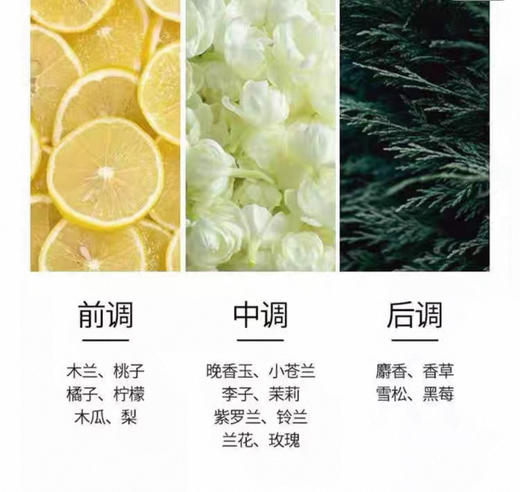 迪奥Dior真我香氛女士浓香水EDP-50ml 商品图2