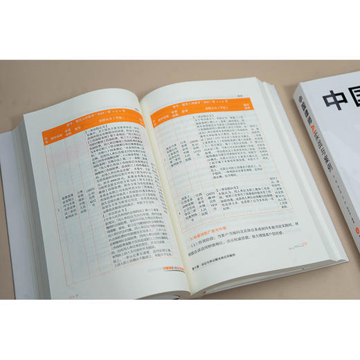 中国律师AI实战与案例 张萌 李小武 兰洋 陈中泽编著 法律出版社 商品图3