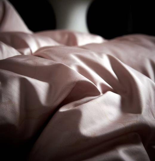 【恐龙厅】B7 丨恐龙悦彩臻品白鹅绒冬被/粉 商品图4