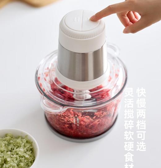 olayks.立时2L多功能绞肉机OLK-LP-21 商品图2