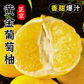 福建平和爆汁黄金葡萄柚当季新鲜水果 皮薄如纸徒手可剥 果肉晶莹如黄金果冻咬下瞬间汁水如瀑布奔涌