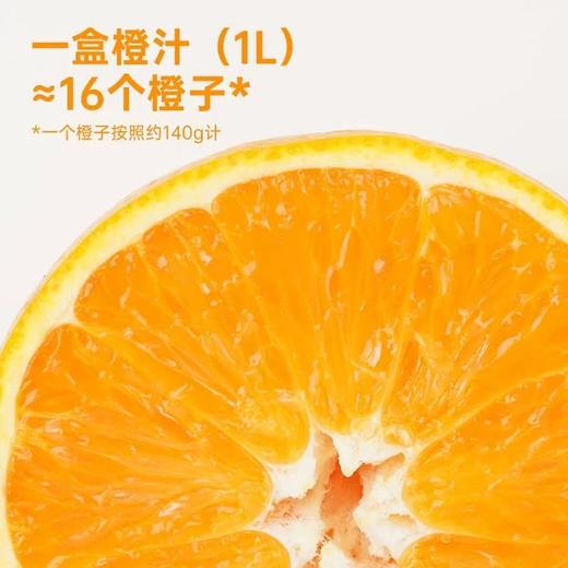 自营（一枝笔）-利乐装饮料1L*2瓶大瓶装浓缩果汁饮品果汁橙汁饮品 商品图1