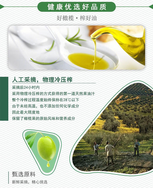 马尔托斯橄榄油西班牙原装原瓶进口特级初榨橄榄油食用油750mL/5L 商品图10