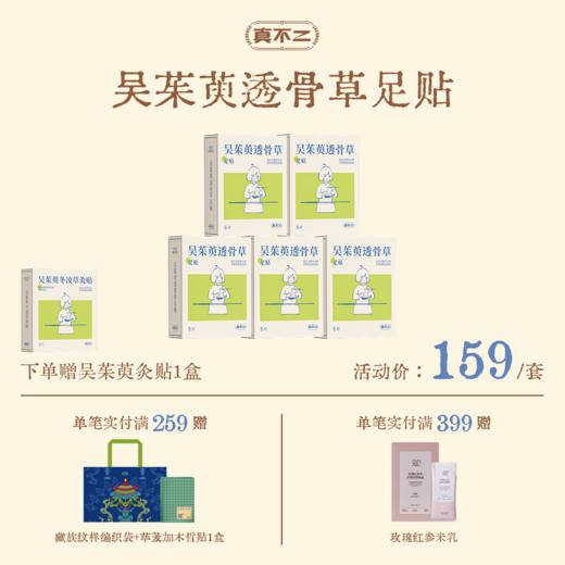 少量现货！【真不二】吴茱萸系列新品透骨草足贴5盒装套组（限时送同款灸贴）Y 商品图0