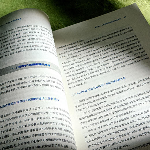 2023—2024上海终身教育发展报告 锚定教育强国目标 对标世界一流城市终身教育体系建设 商品图10