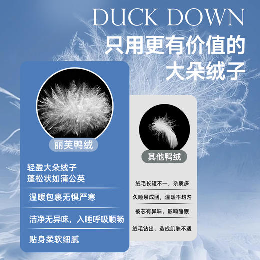 90法国白鸭绒被(海妮娅) 商品图3