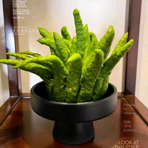 秒杀特价：水仙 苔藓球 佛手柑托盆：19.9（现货 下单即可到店自提） 商品图6