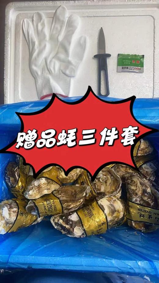 xm❥乳山生蚝 · 洁净海域孕育，富含锌与蛋白，吃得鲜更吃得安心！ 商品图4