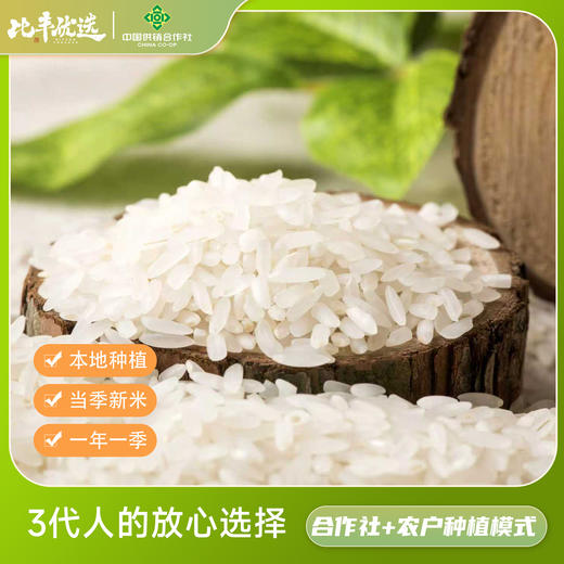 武隆香米10斤真空包装 商品图3