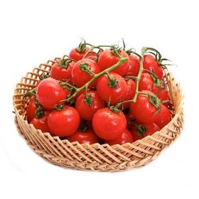 春沐源散装红串茄 约500g/份