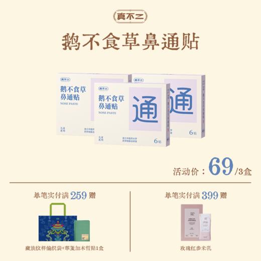 预售30天！【真不二】鹅不食草鼻通贴3盒装儿童成人贴鼻塞通鼻神器晚安贴（ 6贴/盒 6个月及以上可用） 商品图0