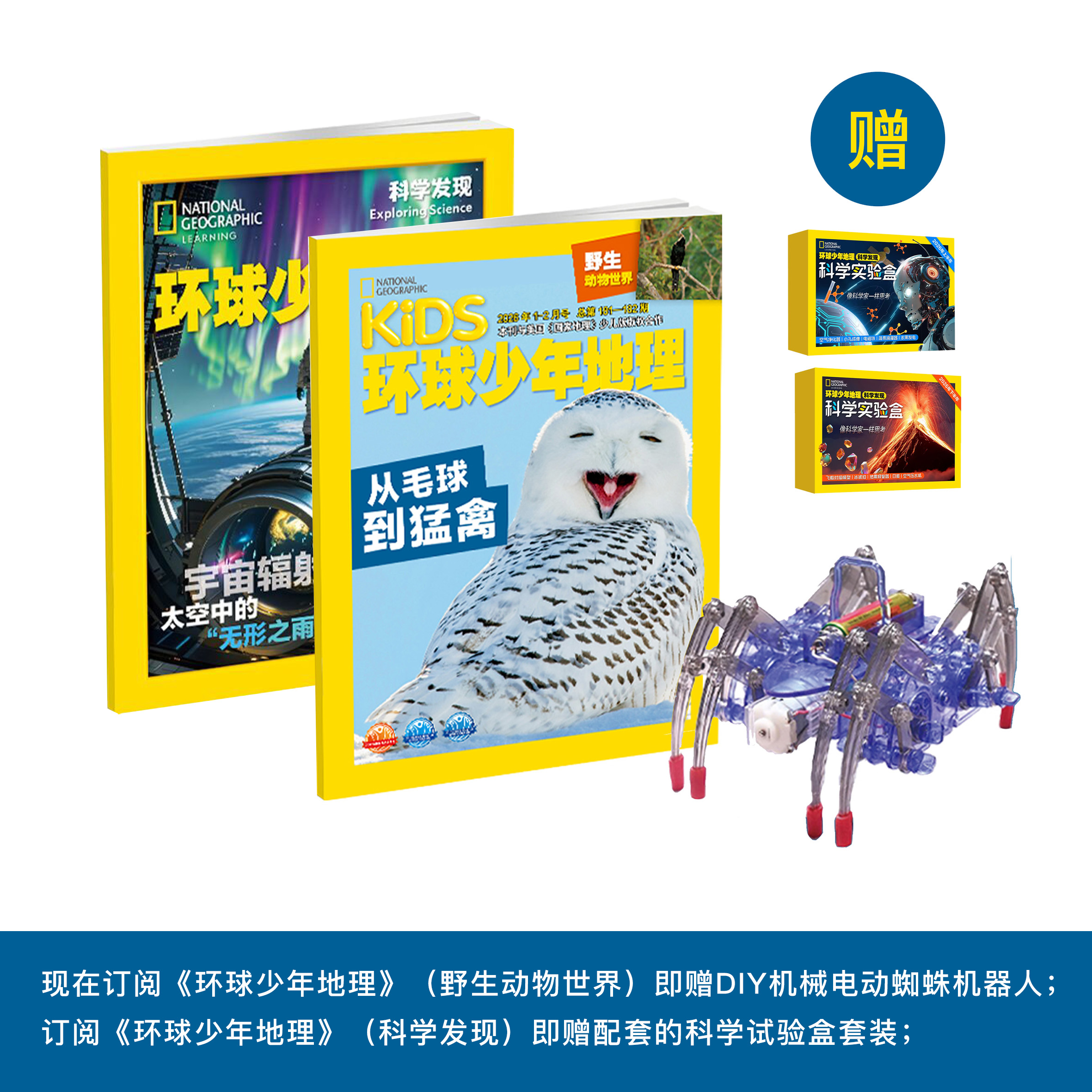 《环球少年地理》（野生动物世界/科学发现）2026年12期（共10本）征订