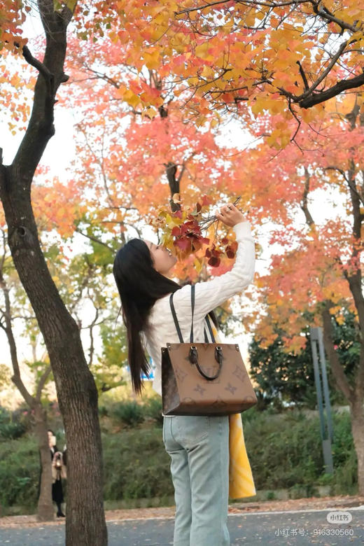 LV on the go 中号 老花拼色 单肩包 商品图1