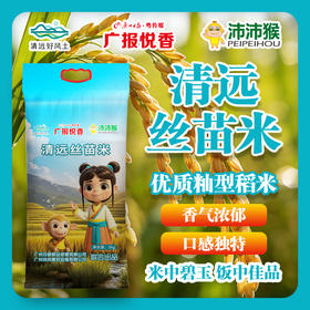 【广报智选自营】「广报悦香」清远丝苗米5kg/包 新包装