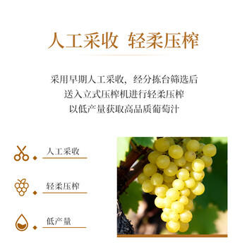 圣芝（suamgy）G720莫斯卡托干白葡萄酒 750ml 原瓶进口 商品图3